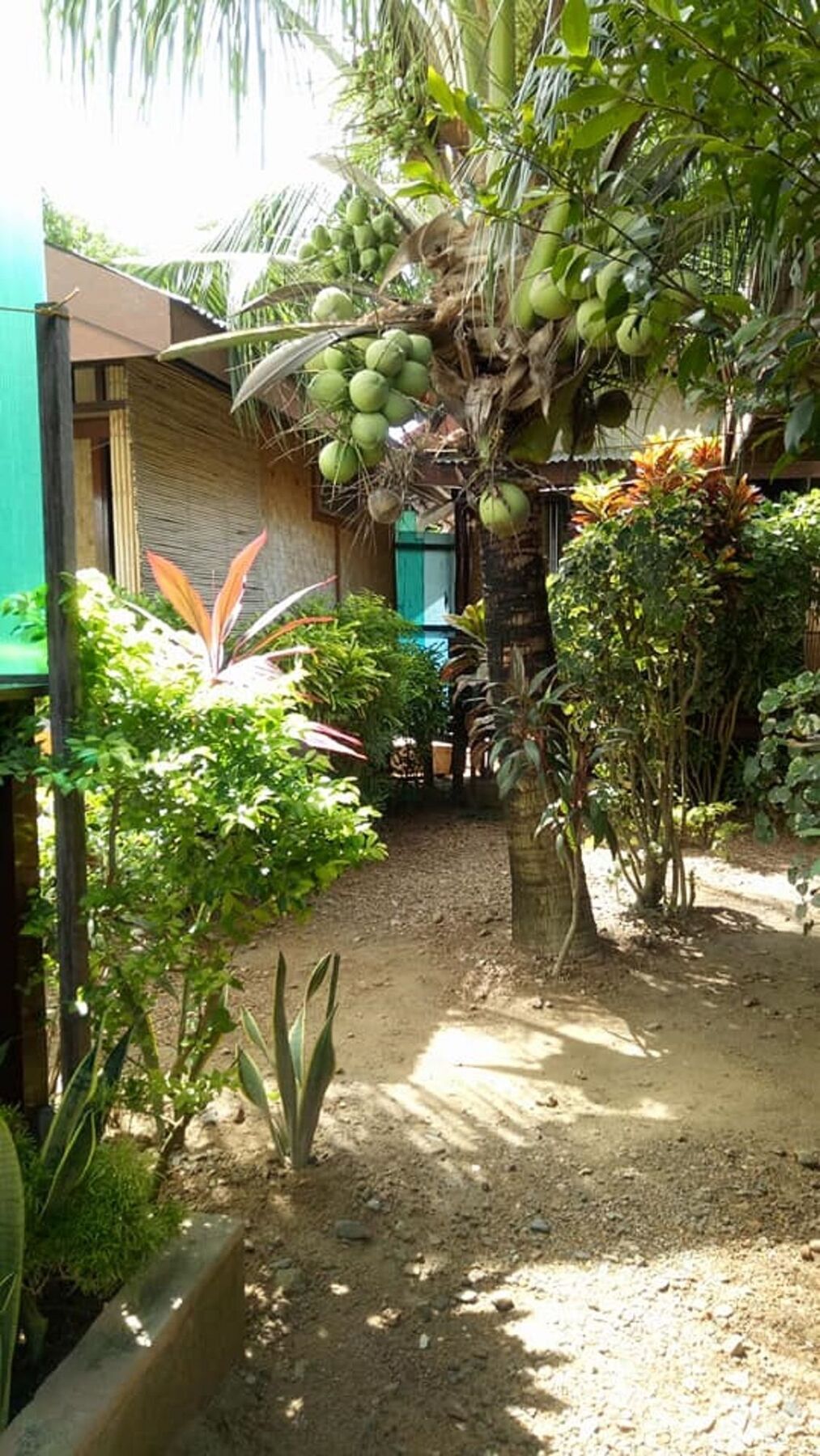Devayn'S Inn El Nido Dış mekan fotoğraf